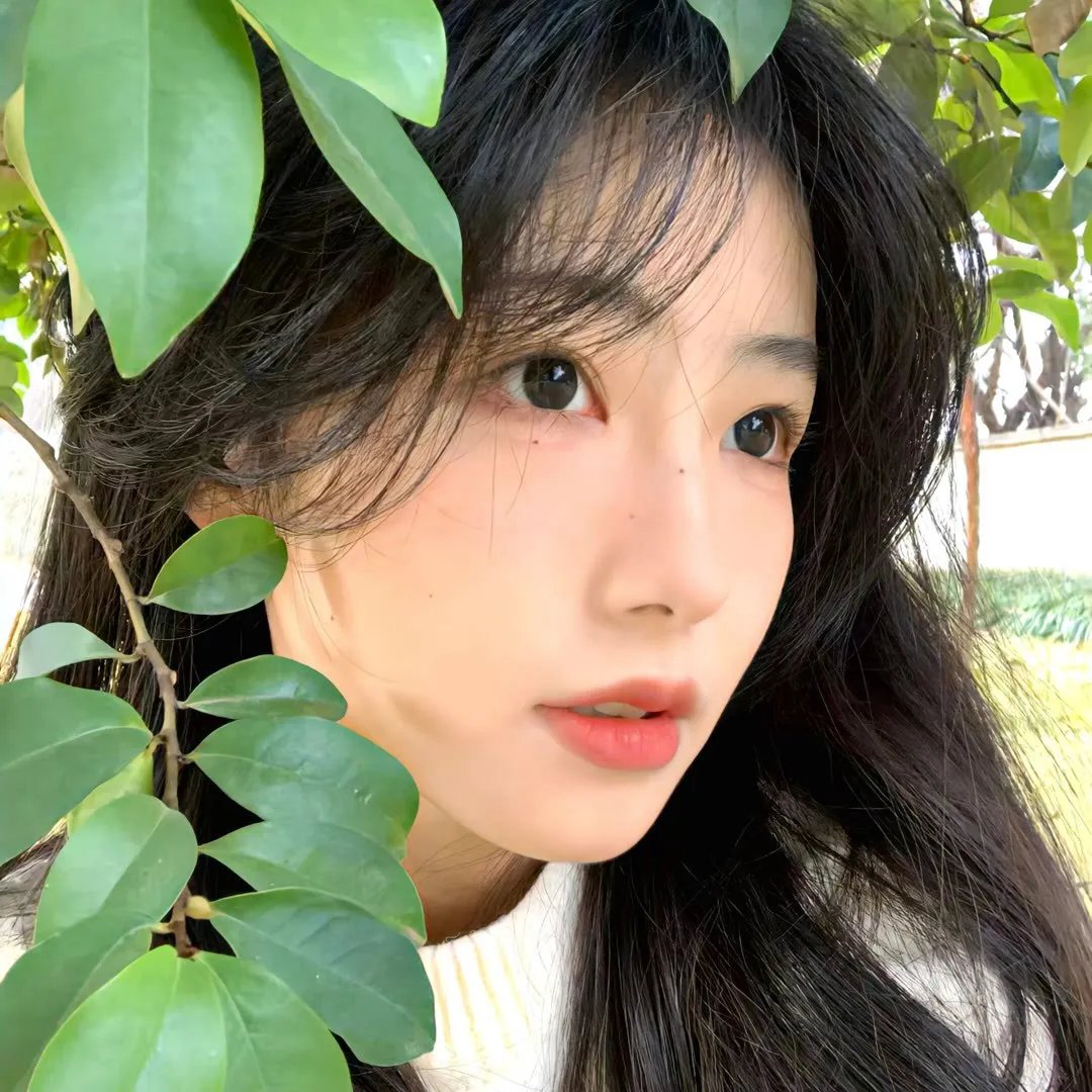 盗墓风云
